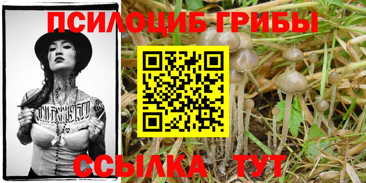 Псилоцибиновые грибы MAGIC MUSHROOMS Асбест